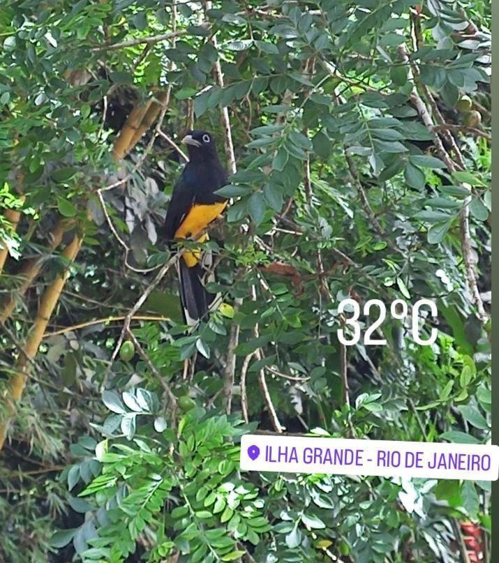 Bangalo Na Acqua Jungle Lodge Abraão Kültér fotó