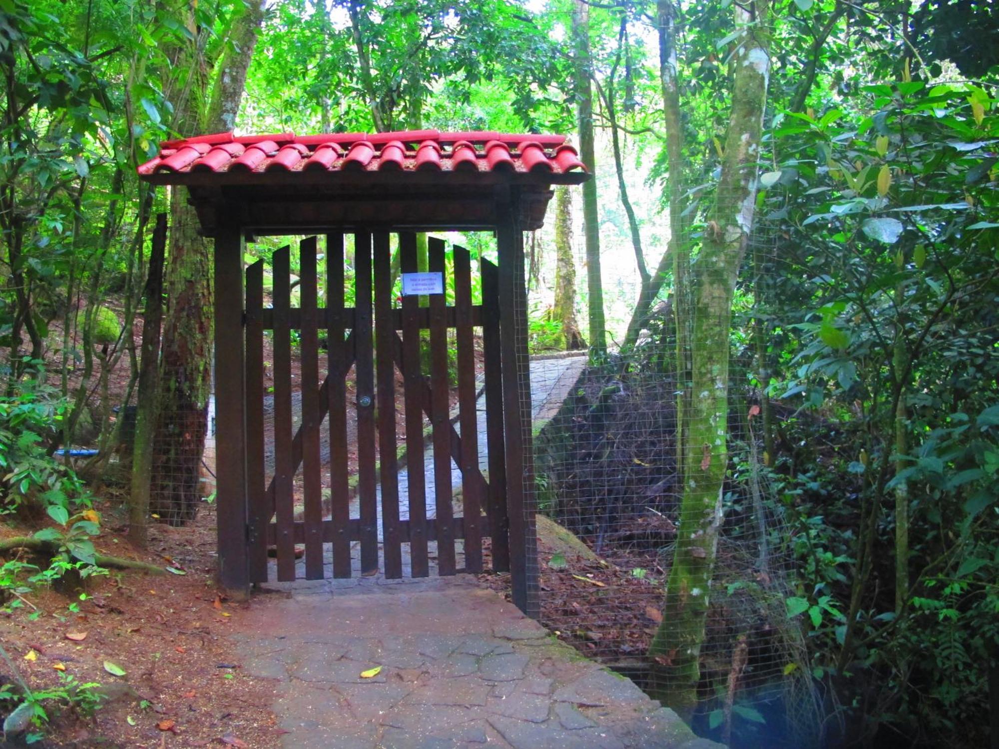 Bangalo Na Acqua Jungle Lodge Abraão Kültér fotó